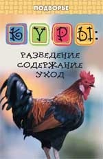 Куры: разведение, содержание, уход