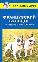 Французский бульдог. Французское обаяние и стойкость