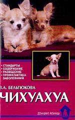 Чихуахуа. Стандарты, содержание, разведение, профилактика заболеваний