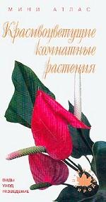 Красивоцветущие комнатные растения. Виды. Уход. Разведение: мини-атлас