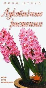 Луковичные растения. Виды, уход, разведение. Мини-атлас