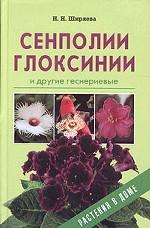 Сенполии, глоксинии и другие геснериевые