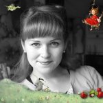 Дале Штефани