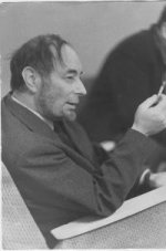 Варшавский Илья